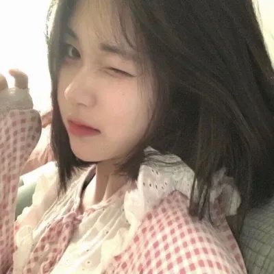 灰狐